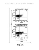 STIMULATION OF ANTI-TUMOR IMMUNITY USING DENDRITIC CELL/TUMOR CELL FUSIONS AND ANTI-CD3/CD28 diagram and image