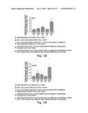 STIMULATION OF ANTI-TUMOR IMMUNITY USING DENDRITIC CELL/TUMOR CELL FUSIONS AND ANTI-CD3/CD28 diagram and image