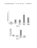 STIMULATION OF ANTI-TUMOR IMMUNITY USING DENDRITIC CELL/TUMOR CELL FUSIONS AND ANTI-CD3/CD28 diagram and image