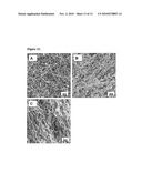 IMPLANTABLE MATERIAL COMPRISING CELLULOSE AND THE GLYCOPEPTIDE XYLOGLUCAN-GRGDS diagram and image