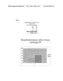 TOPICAL APPLICATION AND FORMULATION OF ERYTHROPOIETIN FOR SKIN WOUND HEALING diagram and image