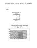 TOPICAL APPLICATION AND FORMULATION OF ERYTHROPOIETIN FOR SKIN WOUND HEALING diagram and image