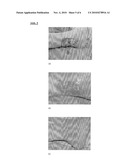 TOPICAL APPLICATION AND FORMULATION OF ERYTHROPOIETIN FOR SKIN WOUND HEALING diagram and image