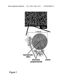 METHODS AND COMPOSITIONS FOR ORAL ADMINISTRATION OF INSULIN diagram and image