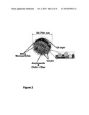 METHODS AND COMPOSITIONS FOR ORAL ADMINISTRATION OF INSULIN diagram and image