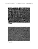 METHODS AND COMPOSITIONS FOR ORAL ADMINISTRATION OF INSULIN diagram and image