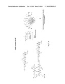 POLYMER MICELLES CONTAINING SN-38 FOR THE TREATMENT OF CANCER diagram and image