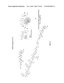 POLYMER MICELLES CONTAINING SN-38 FOR THE TREATMENT OF CANCER diagram and image