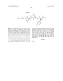 POLYMER MICELLES CONTAINING SN-38 FOR THE TREATMENT OF CANCER diagram and image