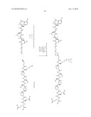POLYMER MICELLES CONTAINING SN-38 FOR THE TREATMENT OF CANCER diagram and image