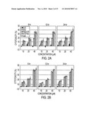 COMPOSITIONS AND METHODS TO PREVENT AND/OR TREAT CANCER WITH PA-CARD diagram and image