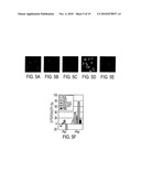 COMPOSITIONS AND METHODS TO PREVENT AND/OR TREAT CANCER WITH PA-CARD diagram and image