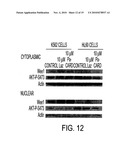 COMPOSITIONS AND METHODS TO PREVENT AND/OR TREAT CANCER WITH PA-CARD diagram and image