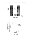 COMPOSITIONS AND METHODS TO PREVENT AND/OR TREAT CANCER WITH PA-CARD diagram and image