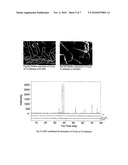 Free standing nanostructured metal and metal oxide anodes for lithium-ion rechargeable batteries diagram and image