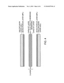 Method of manufacturing 5-layer MEA having improved electrical conductivity diagram and image