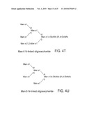 CHARACTERIZATION OF N-GLYCAN MIXTURES BY NUCLEAR MAGNETIC RESONANCE diagram and image