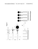 Methods of detecting one or more bioterrorism target agents diagram and image