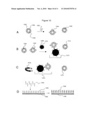 Methods of detecting one or more bioterrorism target agents diagram and image