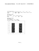 FUNCTIONAL POLYMORPHISMS OF THE INTERLEUKIN-1 LOCUS AFFECTING TRANSCRIPTION AND SUSCEPTIBILITY TO INFLAMMATORY AND INFECTIOUS DISEASES diagram and image