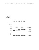 METHOD FOR SELECTING HOP LINE AND BREEDING MARKER AND PRIMER SET USED FOR SELECTING HOP LINE diagram and image