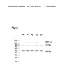 METHOD FOR SELECTING HOP LINE AND BREEDING MARKER AND PRIMER SET USED FOR SELECTING HOP LINE diagram and image