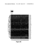 MicroRNA Expression in Human Peripheral Blood Microvesicles and Uses Thereof diagram and image