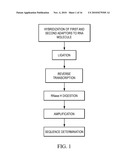 COMPOSITIONS, METHODS, AND KITS FOR DETECTING RIBONUCLEIC ACID diagram and image