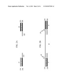 COMPOSITIONS, METHODS, AND KITS FOR DETECTING RIBONUCLEIC ACID diagram and image