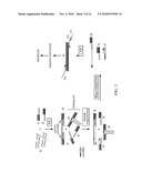 COMPOSITIONS, METHODS, AND KITS FOR DETECTING RIBONUCLEIC ACID diagram and image