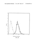 Angiogenesis Inhibiting Molecules, Their Selection, Production and Their Use in the Treatment of Cancer diagram and image