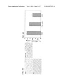 Angiogenesis Inhibiting Molecules, Their Selection, Production and Their Use in the Treatment of Cancer diagram and image