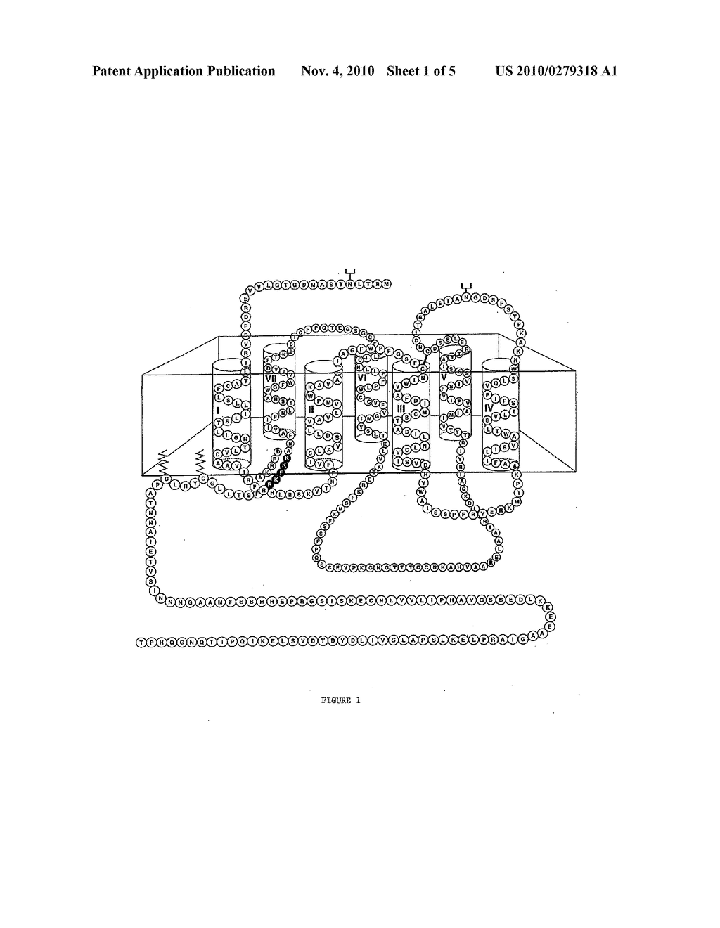 METHOD OF IDENTIFYING TRANSMEMBRANE PROTEIN-INTERACTING COMPOUNDS - diagram, schematic, and image 02