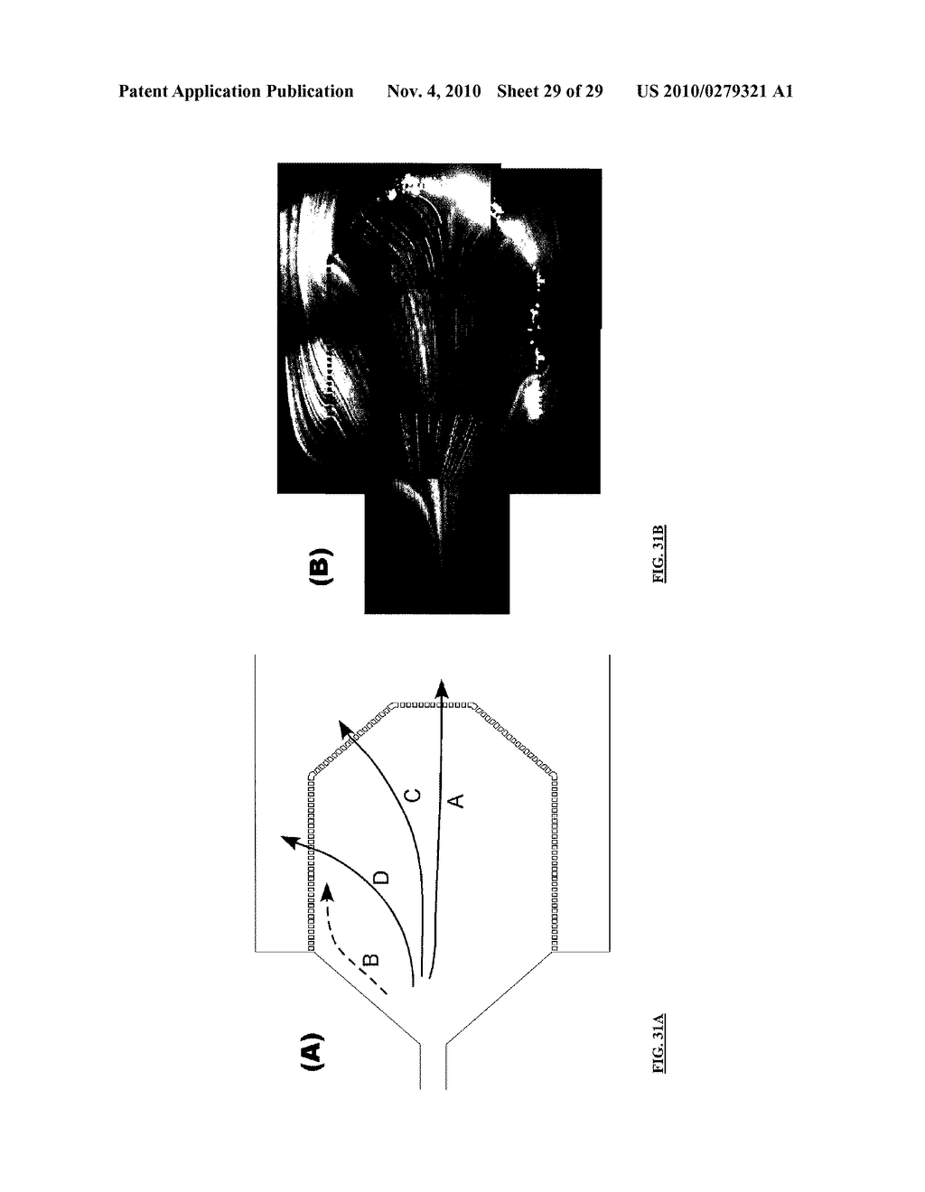 METHODS AND APPARATUS FOR THE ISOLATION AND ENRICHMENT OF CIRCULATING TUMOR CELLS - diagram, schematic, and image 30