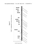 METHOD OF TREATING DISEASES WITH PARP INHIBITORS diagram and image