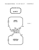 Integrated cytokine production system diagram and image