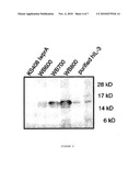 Integrated cytokine production system diagram and image