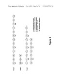 POLYMYXIN SYNTHETASE AND GENE CLUSTER THEREOF diagram and image