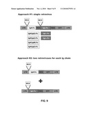 Method for Generation of Antibodies diagram and image