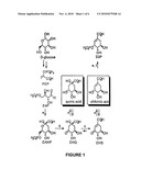 Biocatalystic Synthesis of Quinic Acid and Conversion to Hydroquinone by Recombinant Microbes diagram and image