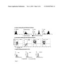 T Cell Hybridomas And Related Compositions And Methods For Assaying And Modulating T Cell Receptor-Mediated Immune Responses diagram and image