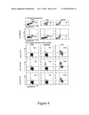 T Cell Hybridomas And Related Compositions And Methods For Assaying And Modulating T Cell Receptor-Mediated Immune Responses diagram and image