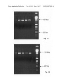 Population scale HLA-typing and uses thereof diagram and image