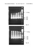 Population scale HLA-typing and uses thereof diagram and image