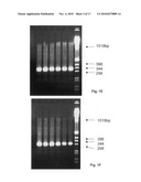 Population scale HLA-typing and uses thereof diagram and image