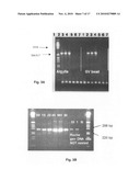 Population scale HLA-typing and uses thereof diagram and image