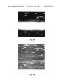 Population scale HLA-typing and uses thereof diagram and image