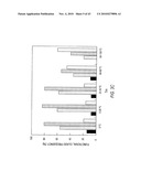 siRNA Targeting Interleukin-1 Receptor-Associated Kinase 4(IRAK4) diagram and image