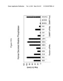 siRNA Targeting Interleukin-1 Receptor-Associated Kinase 4(IRAK4) diagram and image