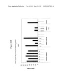 siRNA Targeting Interleukin-1 Receptor-Associated Kinase 4(IRAK4) diagram and image